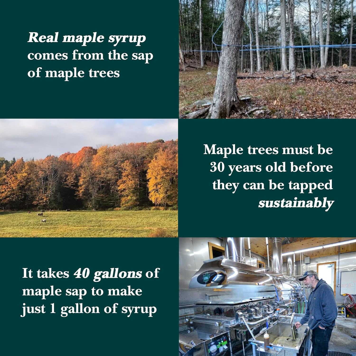 Vermont Maple Syrup product label with farm origin emphasizing organic sourcing