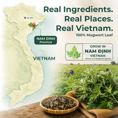 VietGlowie dried mugwort leaves close-up, showing whole-leaf quality and aroma