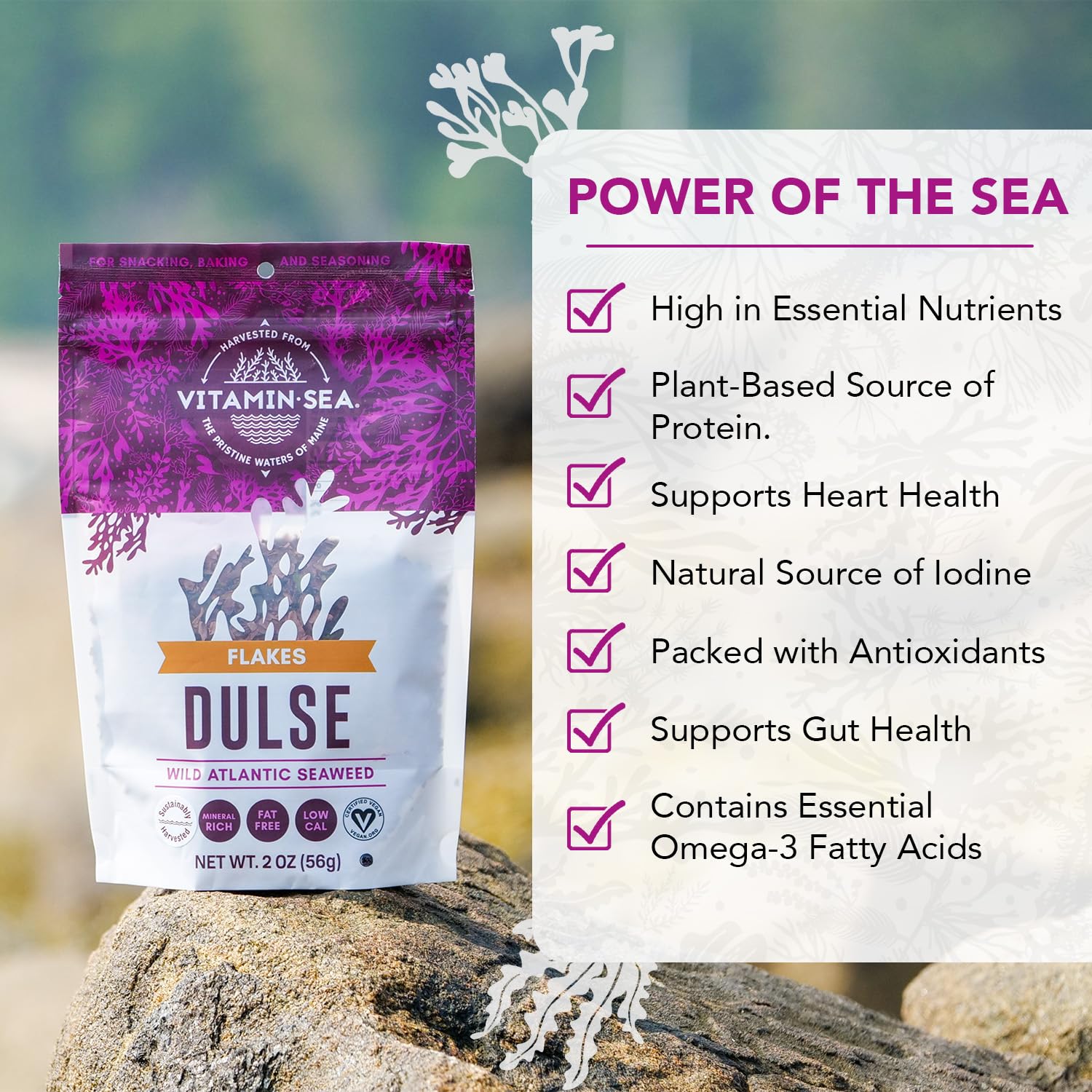 VITAMINSEA toasted whole dulse leaves as a crunchy, savory snack option