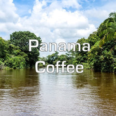 Volcanica Coffee close-up label highlighting Boquete single-origin and medium roast clarity