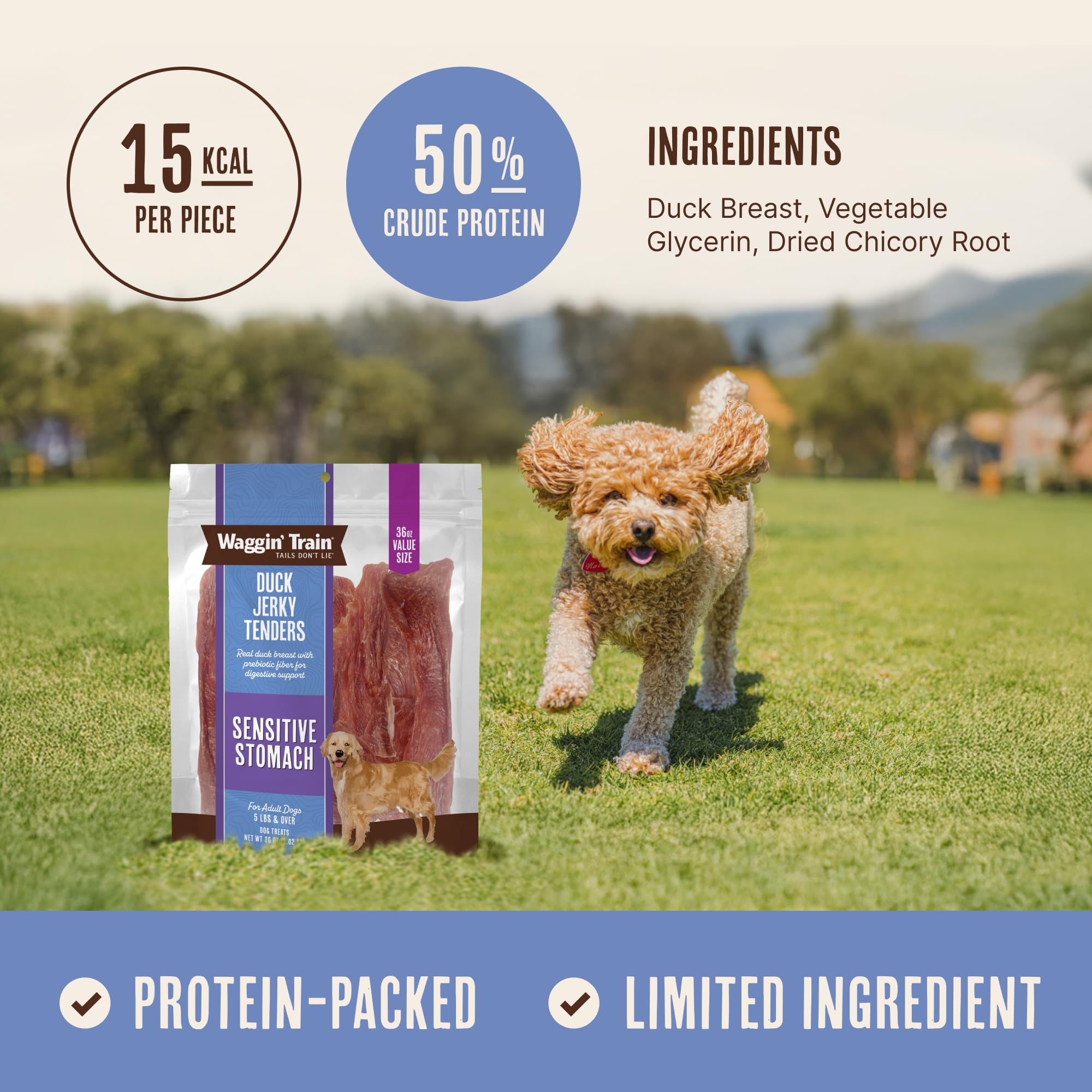 Waggin' Train close-up of duck jerky texture highlighting tender chew and natural protein