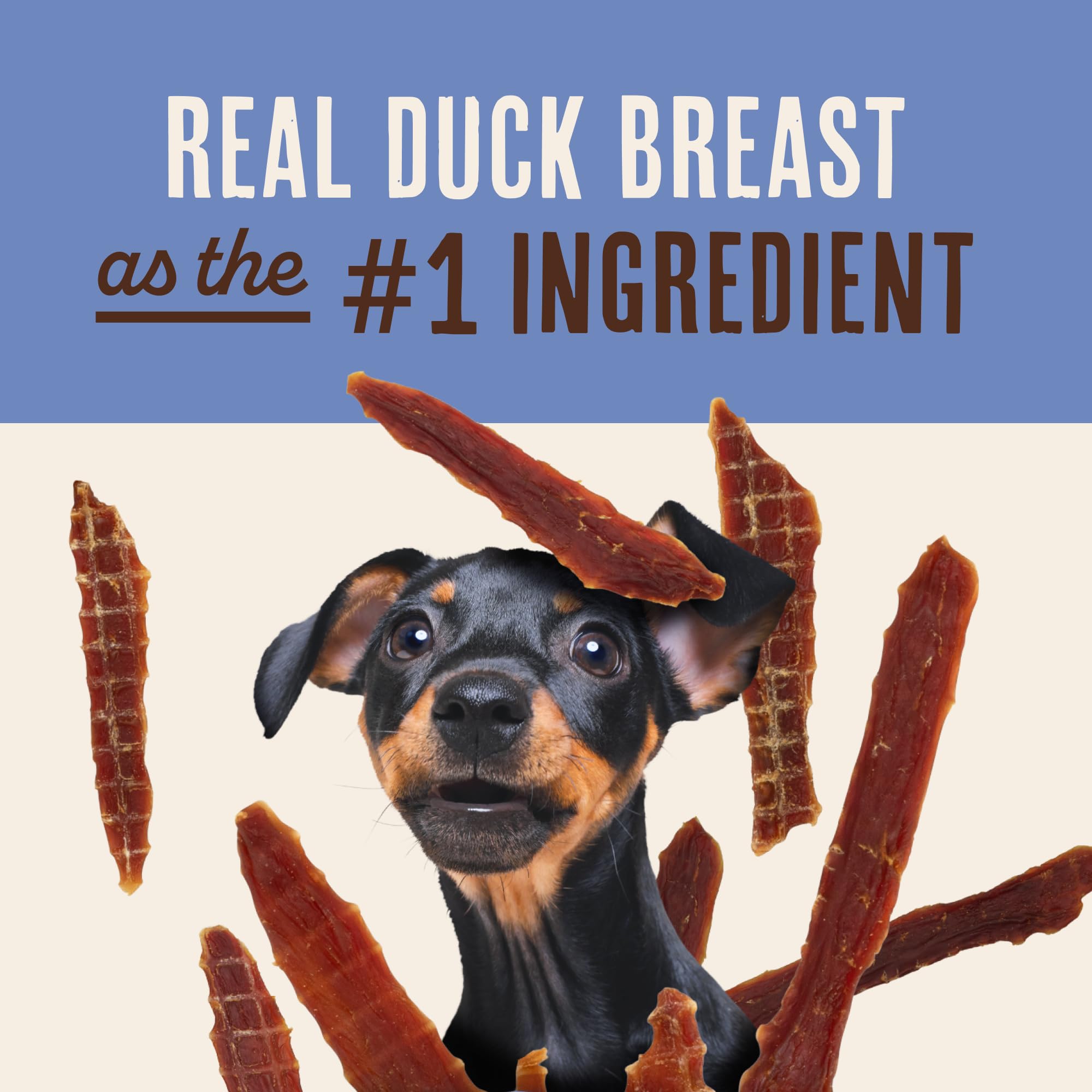 Waggin' Train single duck tenderloin on a white surface showing portion and digestibility