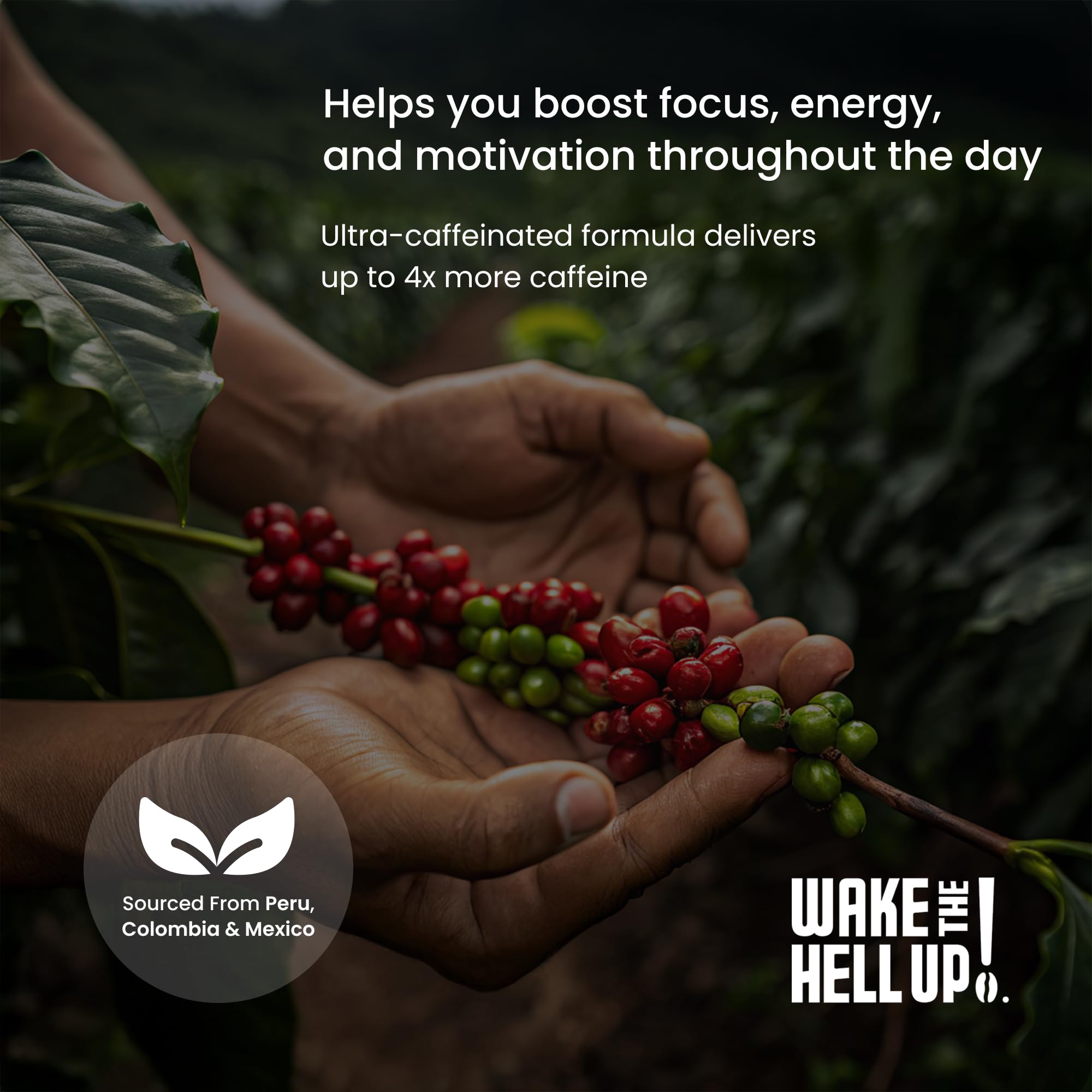 Wake The Hell Up! ground coffee texture displayed to show fine-grind consistency and aroma