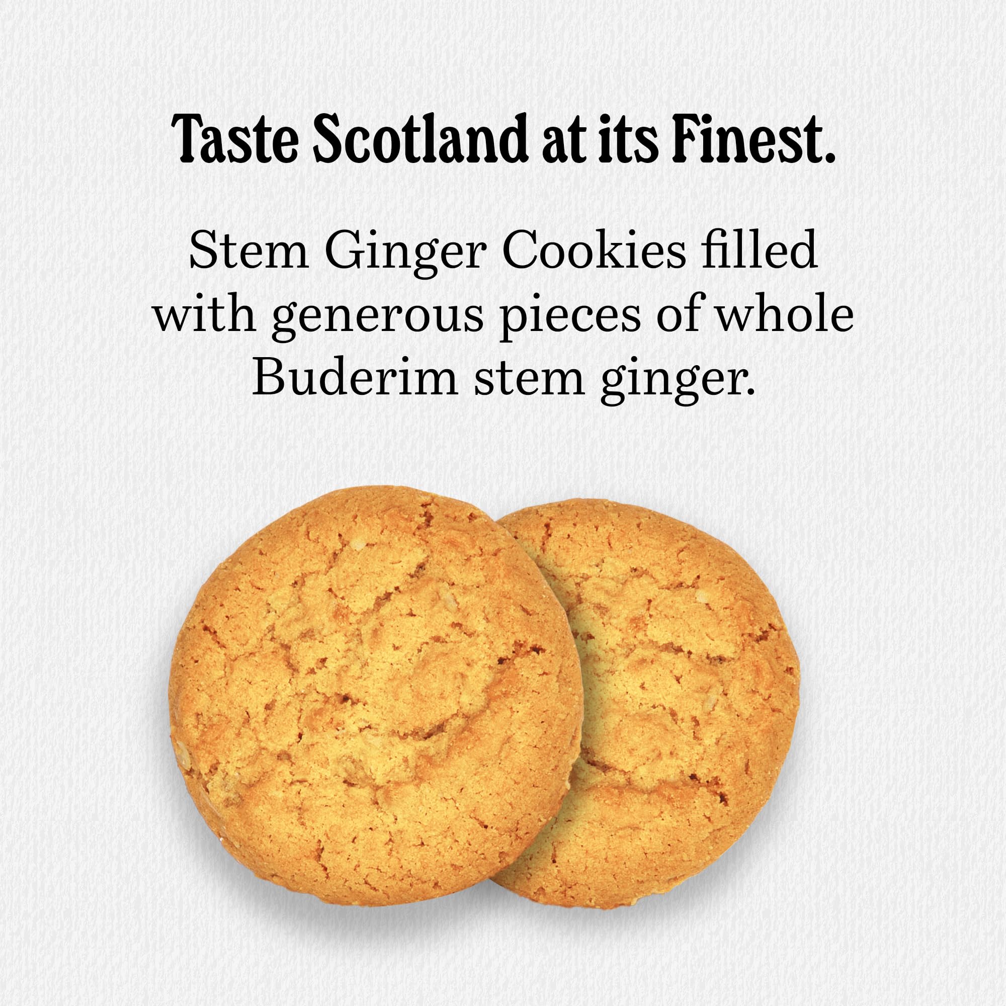 Walkers biscuit close-up texture revealing buttery crumb and crisp edge for satisfying crunch