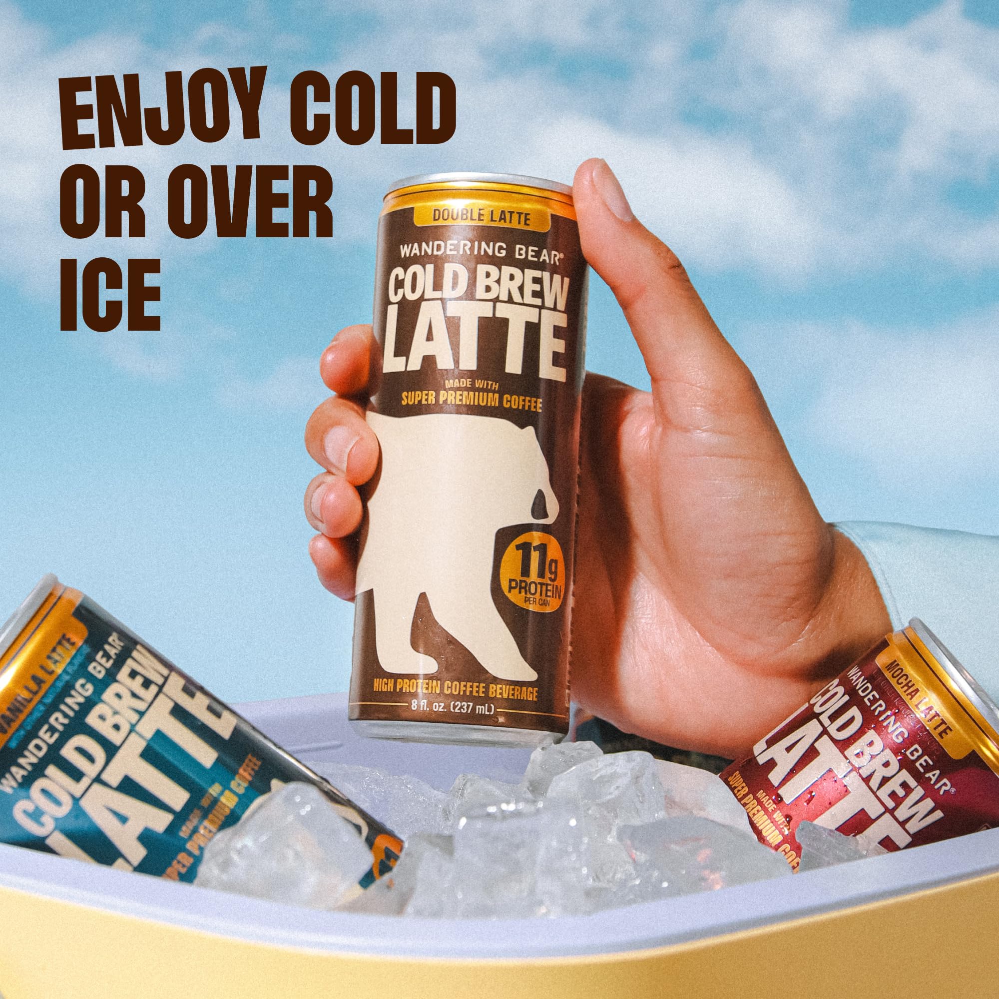 Wandering Bear three-flavor cans array showing Double Latte, Vanilla, Mocha choices