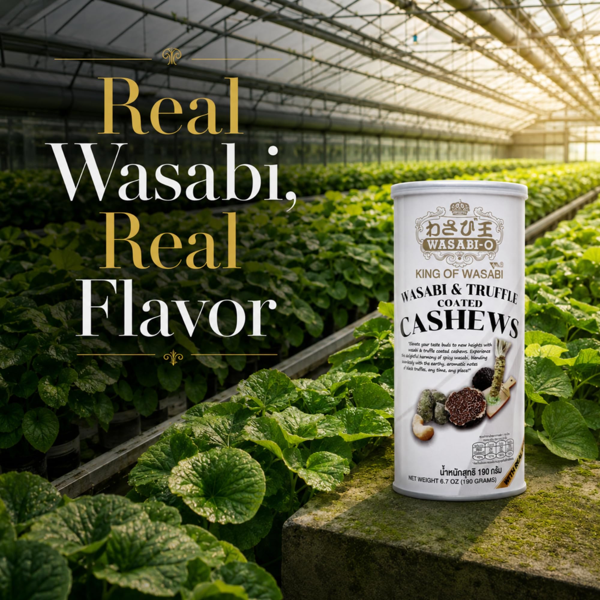 WASABI-O close-up of seasoned coating highlighting crunchy texture benefit