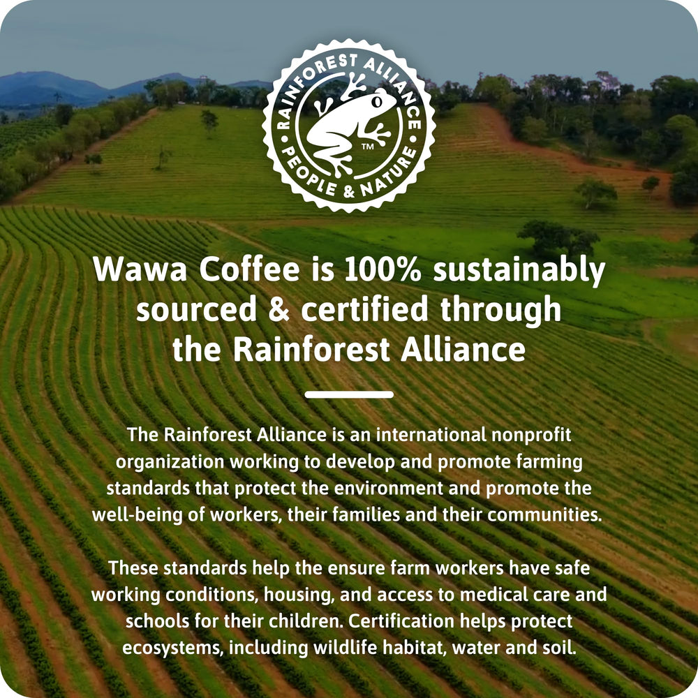 Wawa brewed cup steaming hot showcasing balanced medium-bodied flavor