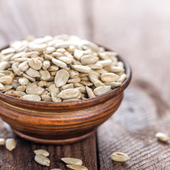 We Got Nuts close-up of roasted kernel texture highlighting crunchy appeal