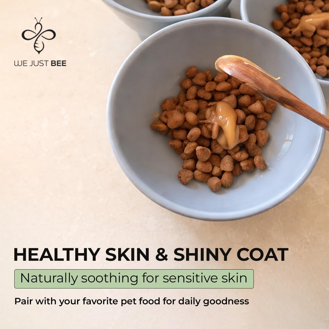 We Just Bee drizzled over kibble bowl improving meal appeal