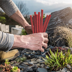 WEAVER'S beef sticks in a packed lunch showing kid-friendly, portable snack benefit