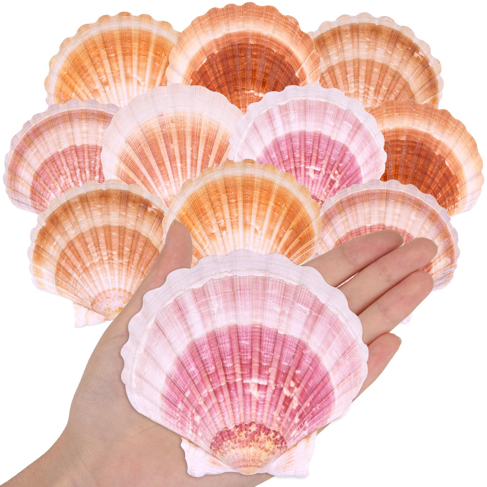 WeDoSoy front view of ten pink and yellow scallop shells showing size and color benefits