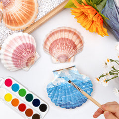 WeDoSoy shells arranged in a coastal centerpiece adding natural event decoration appeal