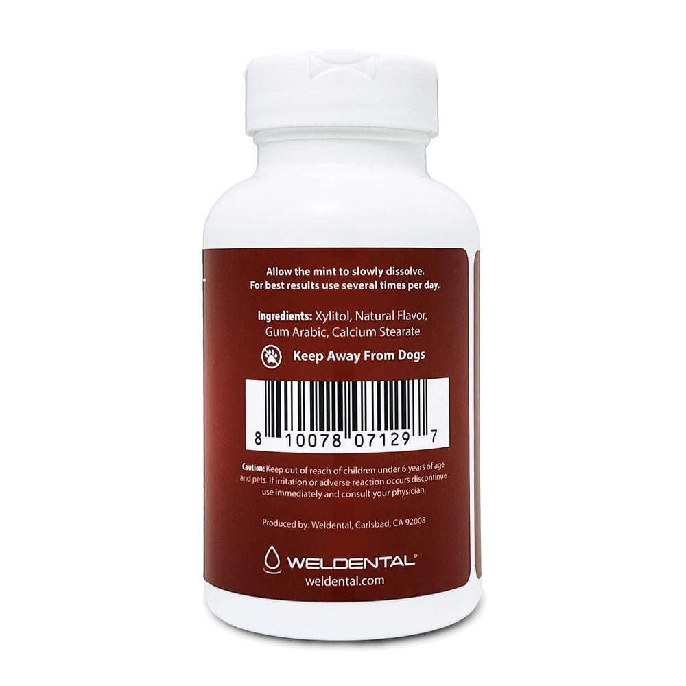 WELdental cinnamon tablets in hand demonstrating size and portable long-lasting supply