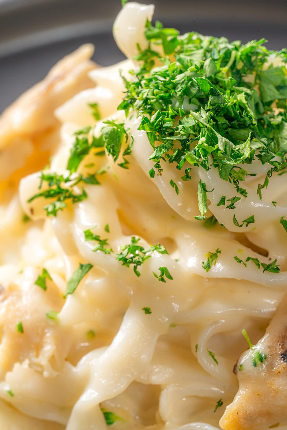 Well Lean fettuccine served in kitchen lifestyle setting for quick weeknight meals
