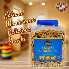 Wellsley Farms close-up of cracker texture showing light crunch and golden color