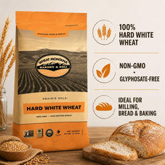 Wheat Montana close-up of prairie gold kernels highlighting freshness