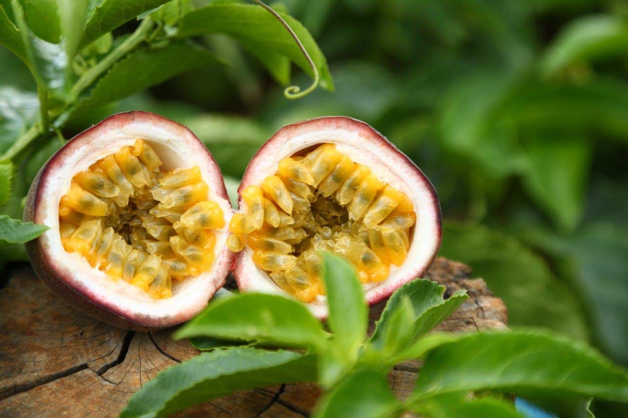 wholeberry slices added to a smoothie offering tropical flavor boost