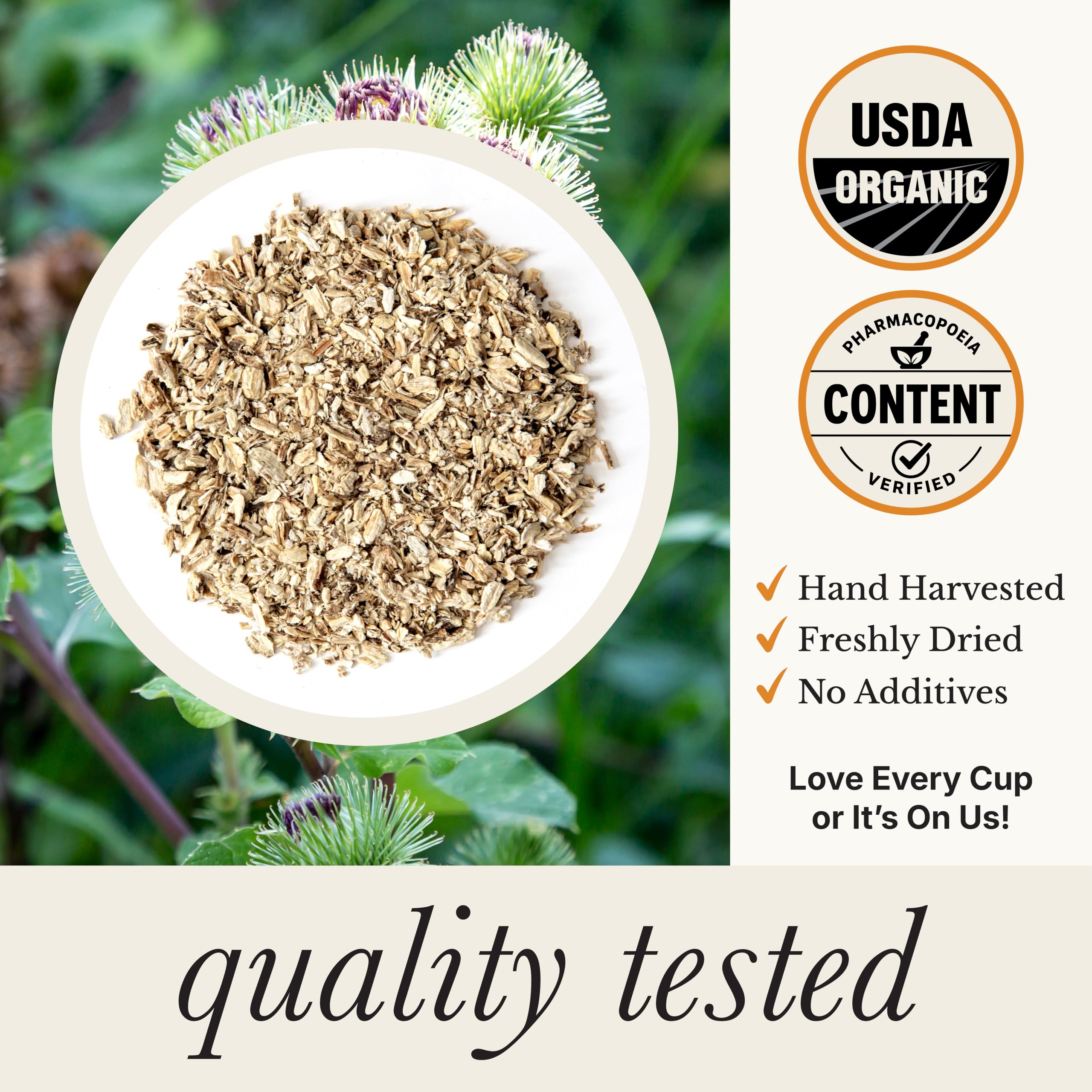 Wild Bliss brewed cup of burdock infusion offering soothing flavor