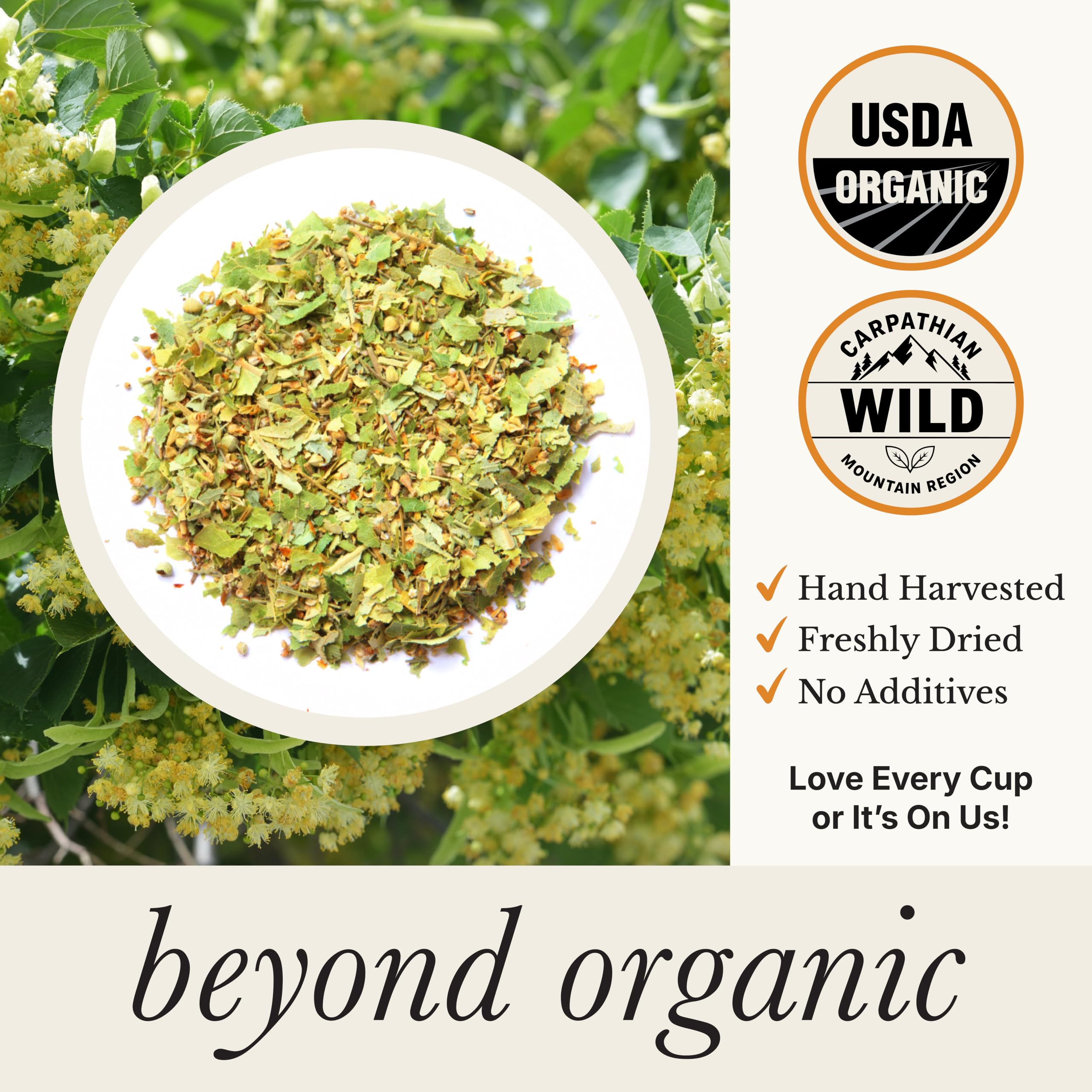 Wild Bliss pyramid bag steeping in teacup releasing floral honey-scented aroma