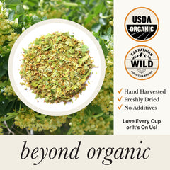 Wild Bliss pyramid bag steeping in teacup releasing floral honey-scented aroma