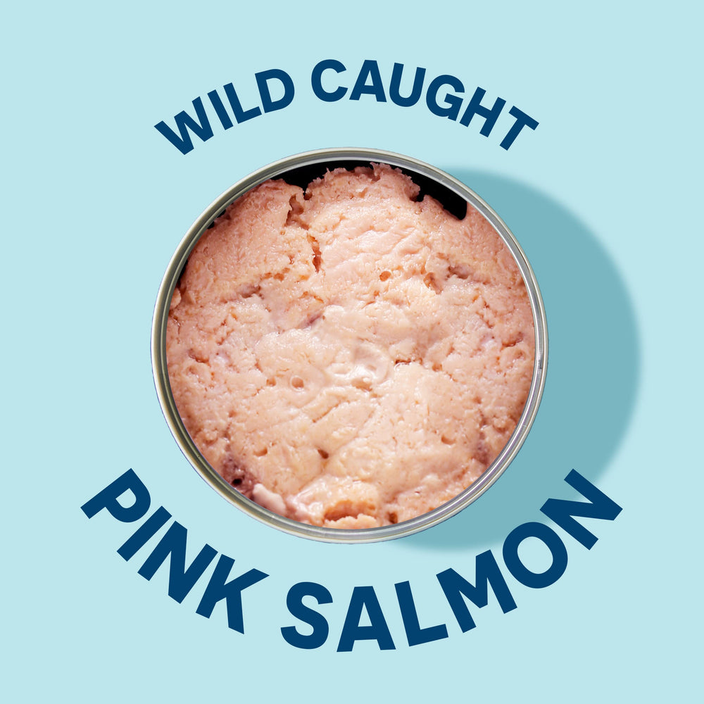 Wild Planet close-up of flaky salmon texture showing natural juices benefit