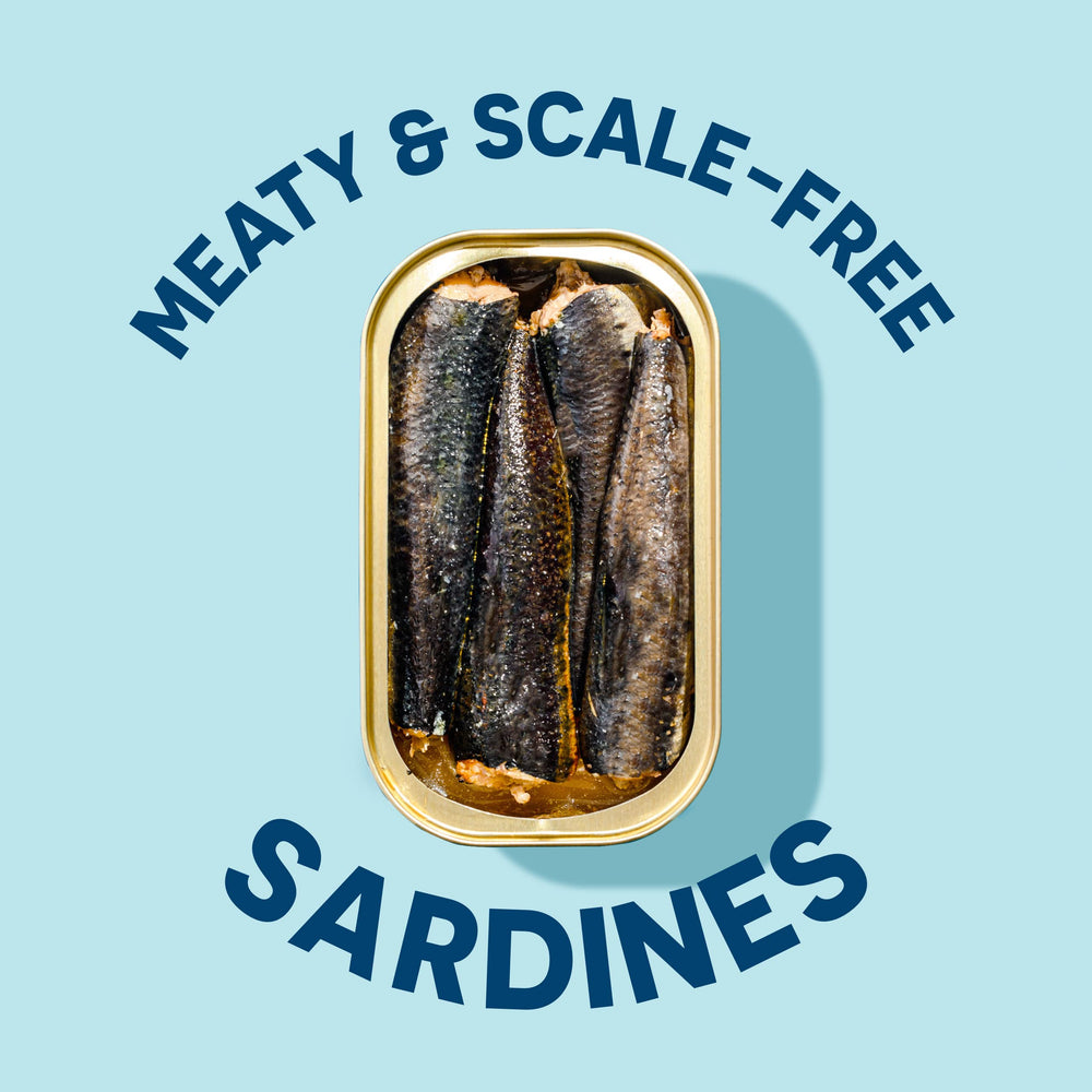 Wild Planet closeup of sardine fillet texture showing meaty flakes
