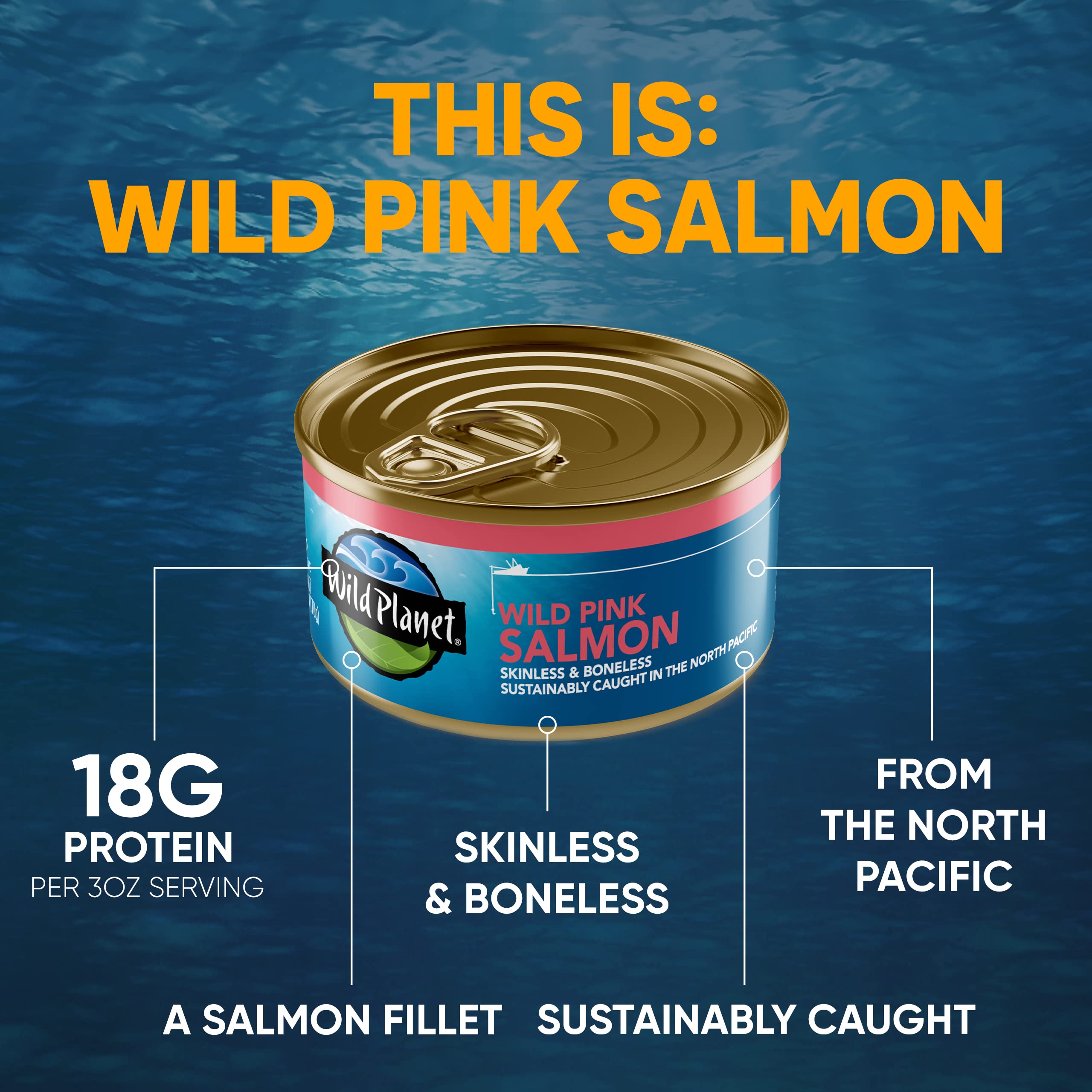 Wild Planet close-up of salmon flakes showing texture and natural juices