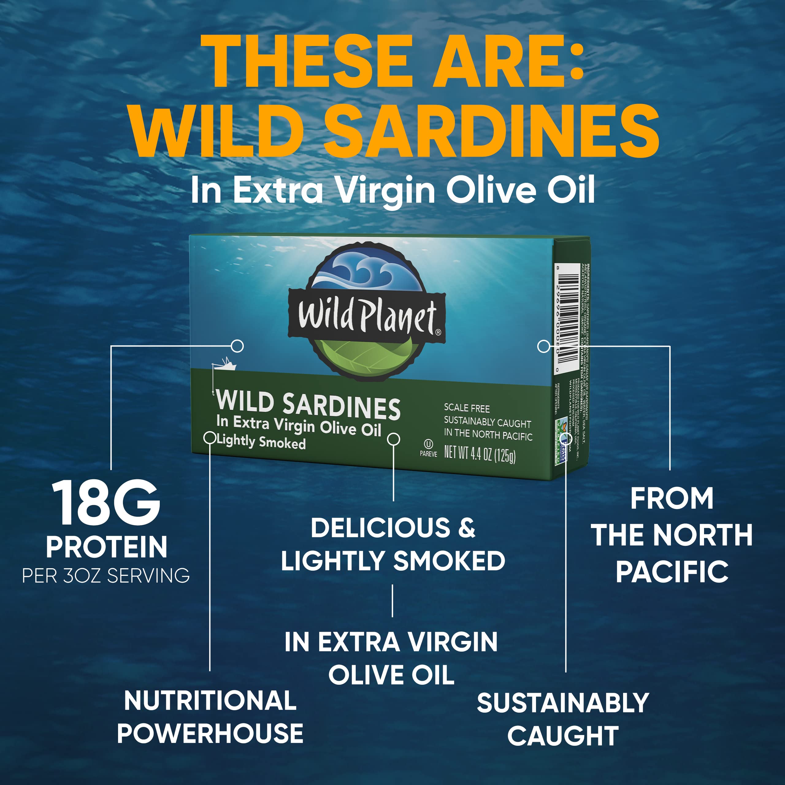 Wild Planet open can top view with sardines in extra virgin olive oil for ready-to-eat convenience