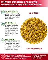 WILDFIELD HERBS close-up of whole dried barberry roots highlighting texture benefits aroma