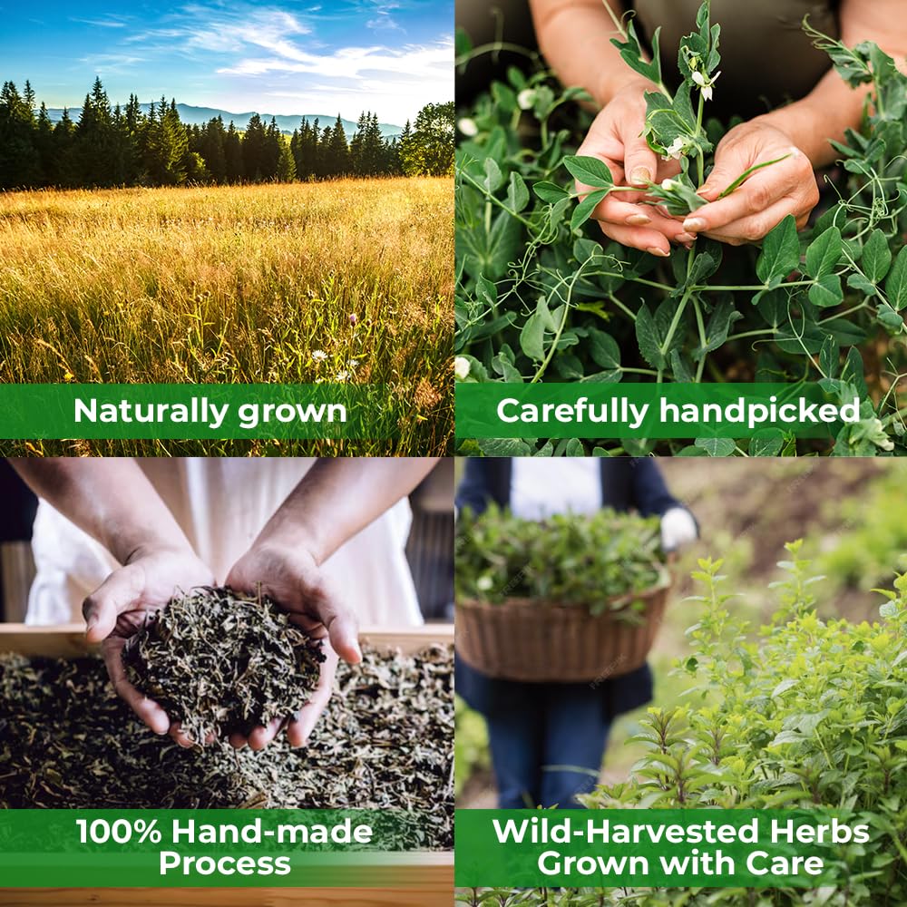 WILDFIELD HERBS tea in kitchen lifestyle scene showing everyday use