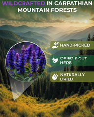 WILDFIELD HERBS dried hyssop leaves texture showing herbal quality
