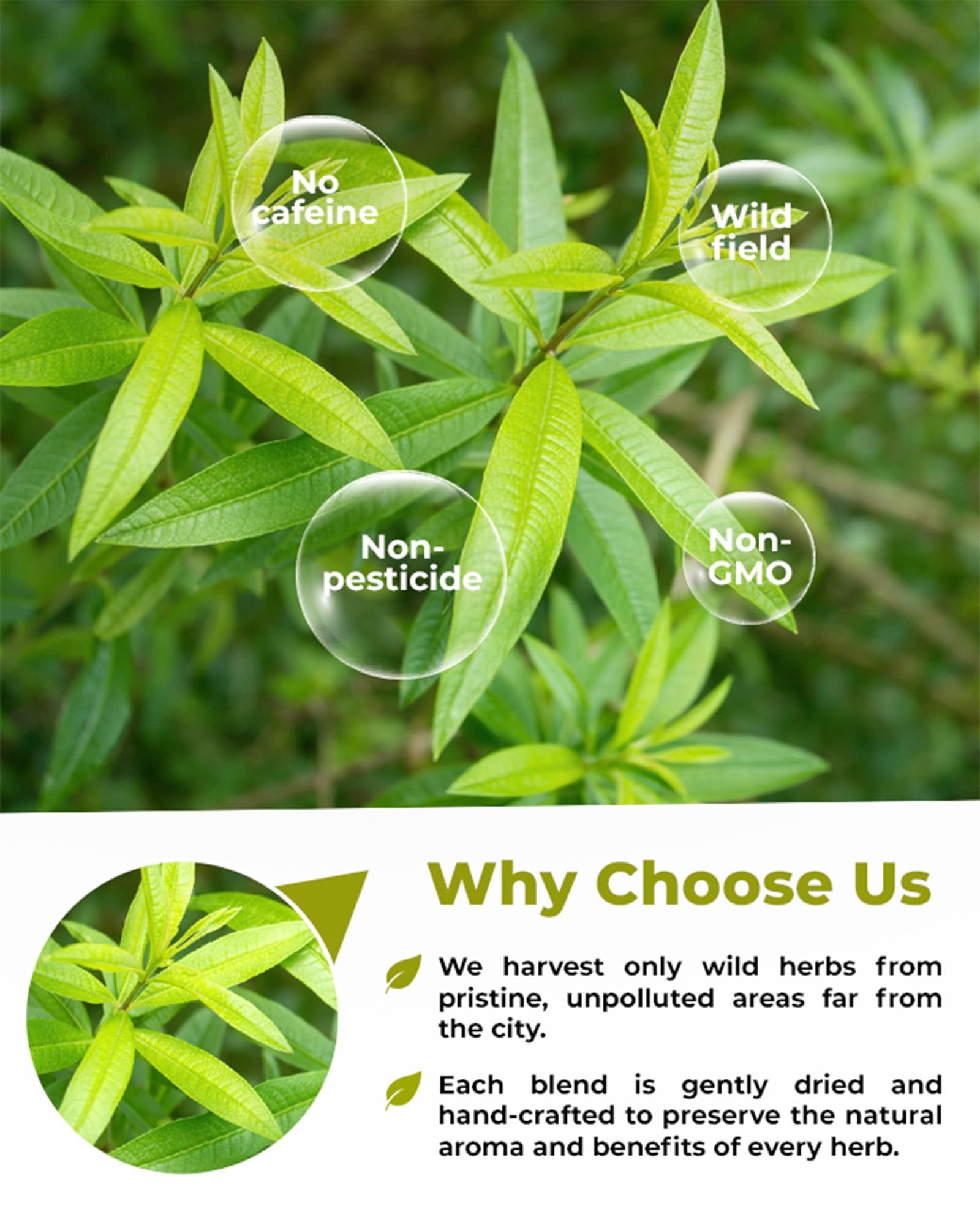 WILDFIELD HERBS product label and batch code close-up indicating origin and quality control