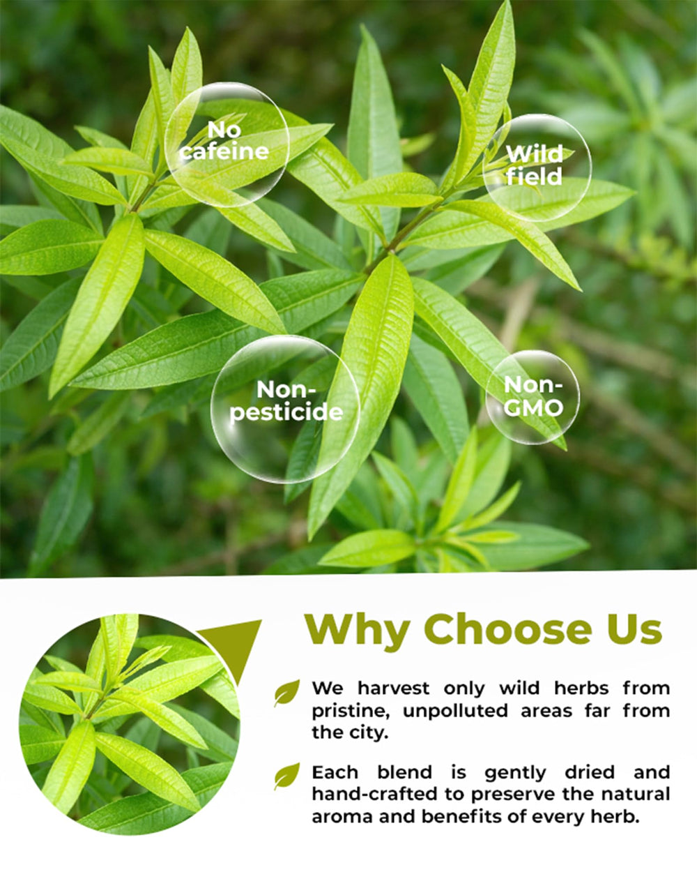 WILDFIELD HERBS product label and batch code close-up indicating origin and quality control