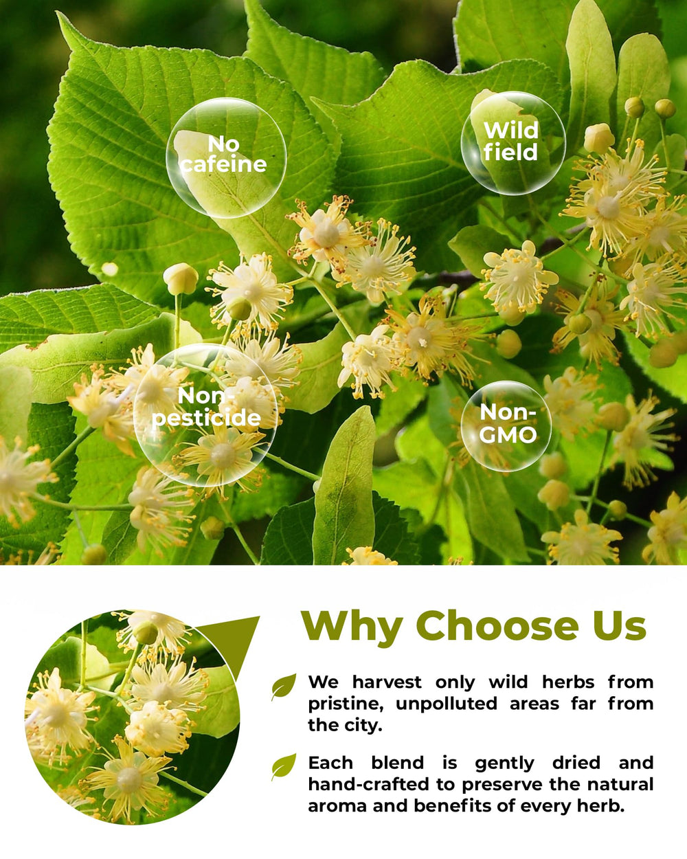 WILDFIELD HERBS product label and origin stamp highlighting European sourcing