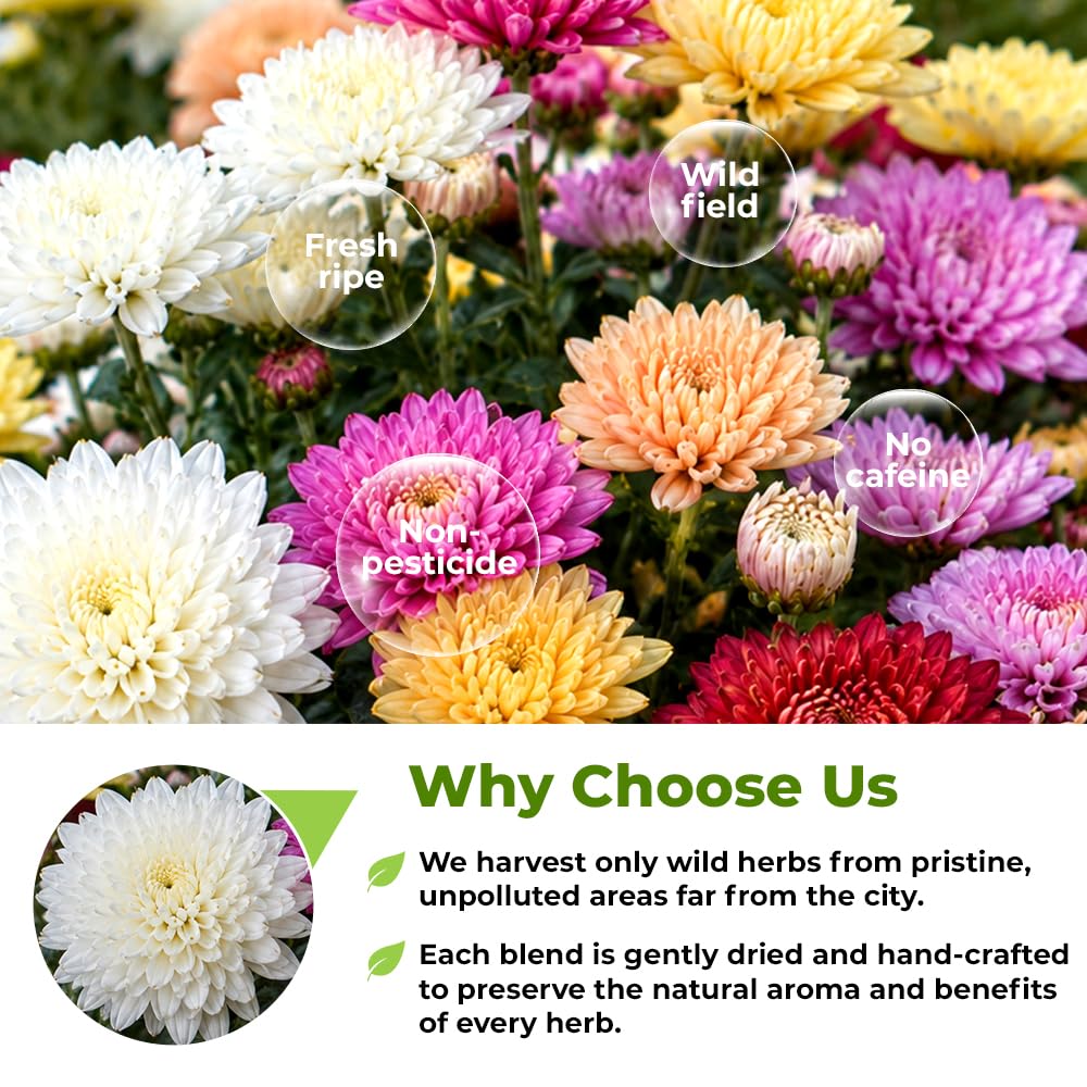 WILDFIELD HERBS ingredient label showing 100% Chrysanthemum morifolium transparency