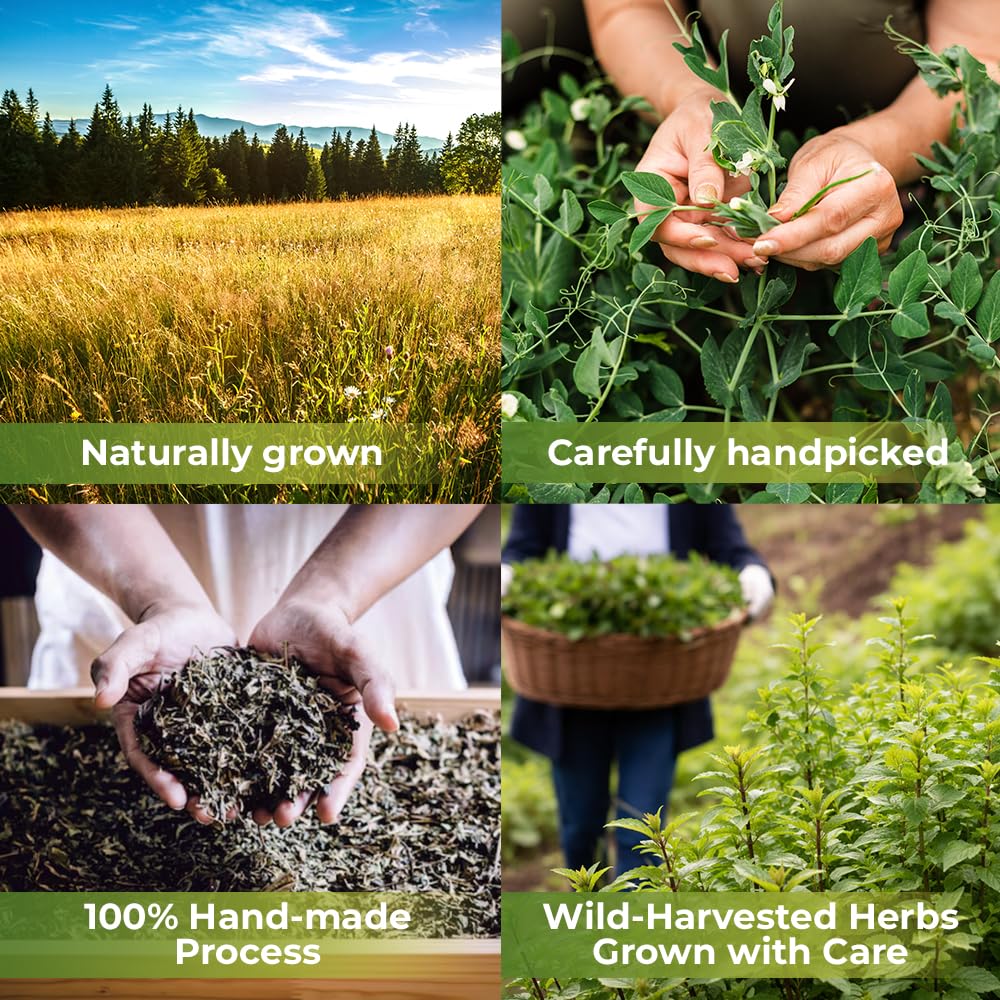 WILDFIELD HERBS airtight storage jar preserving petals for ongoing freshness