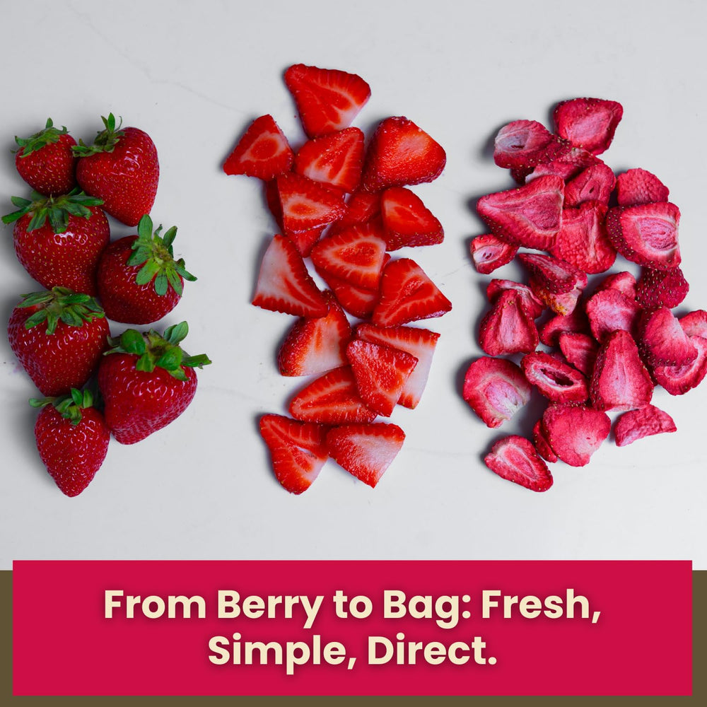 Wise Harvest close-up of crunchy strawberry texture highlighting preserved color and flavor