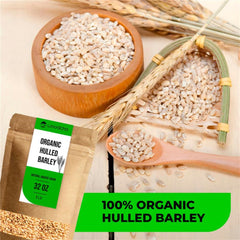 WOODCHA cooked hulled barley in bowl, ready to eat and meal-prep friendly