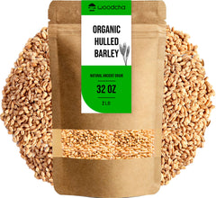 WOODCHA front packaging showing 2 lb bag and organic label, clear pantry benefit