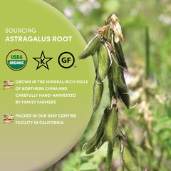 Worldwide Botanicals astragalus beside measuring spoon, showing portion guidance and quantity