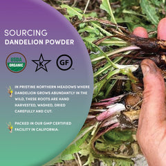 Worldwide Botanicals brewed dandelion root tea in a cup, showing rich roasted color and aroma