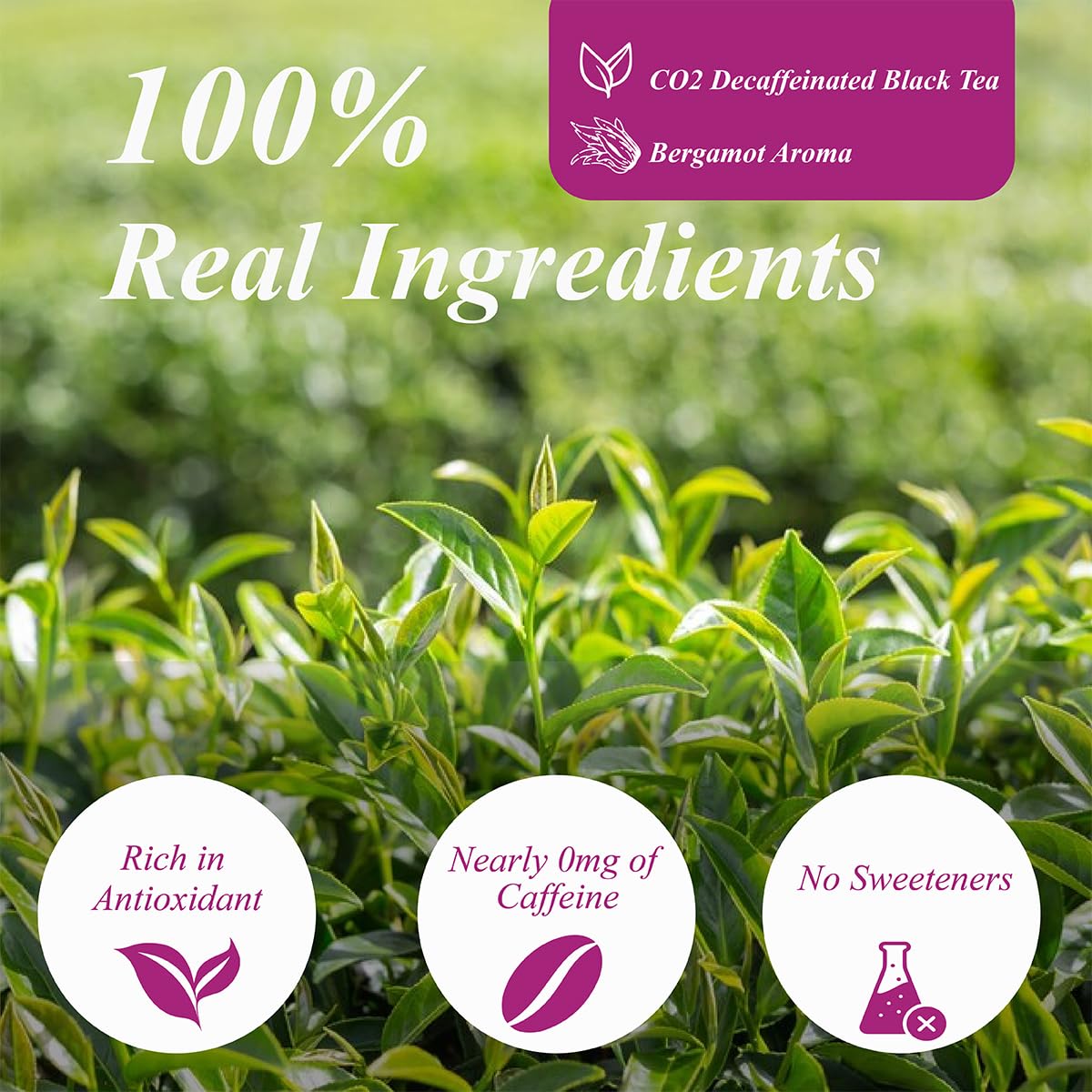 WT WEETEE bergamot oil droplet highlighting citrus notes and flavor retention benefit