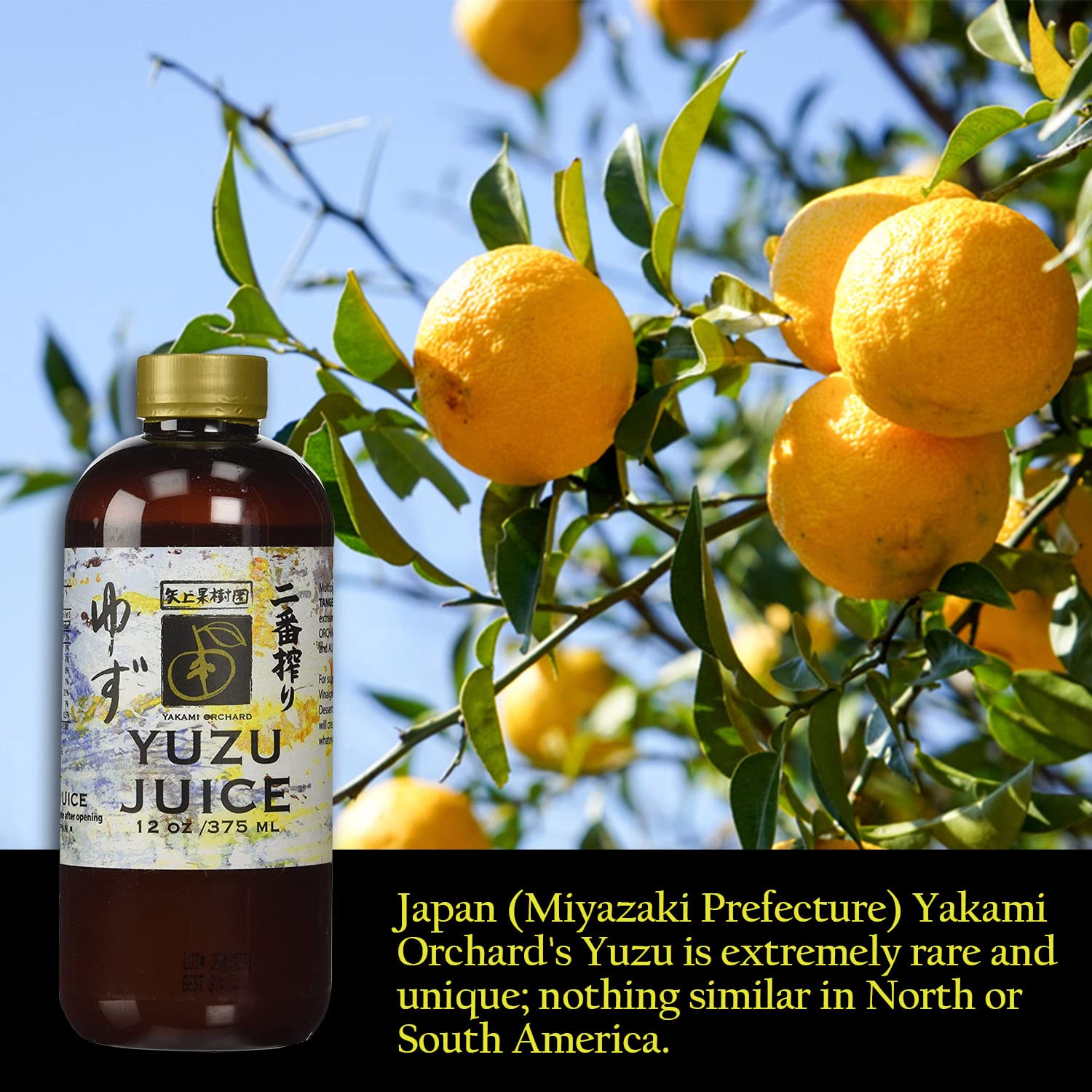 Yakami Orchard juice texture close-up highlighting concentrated citrus intensity
