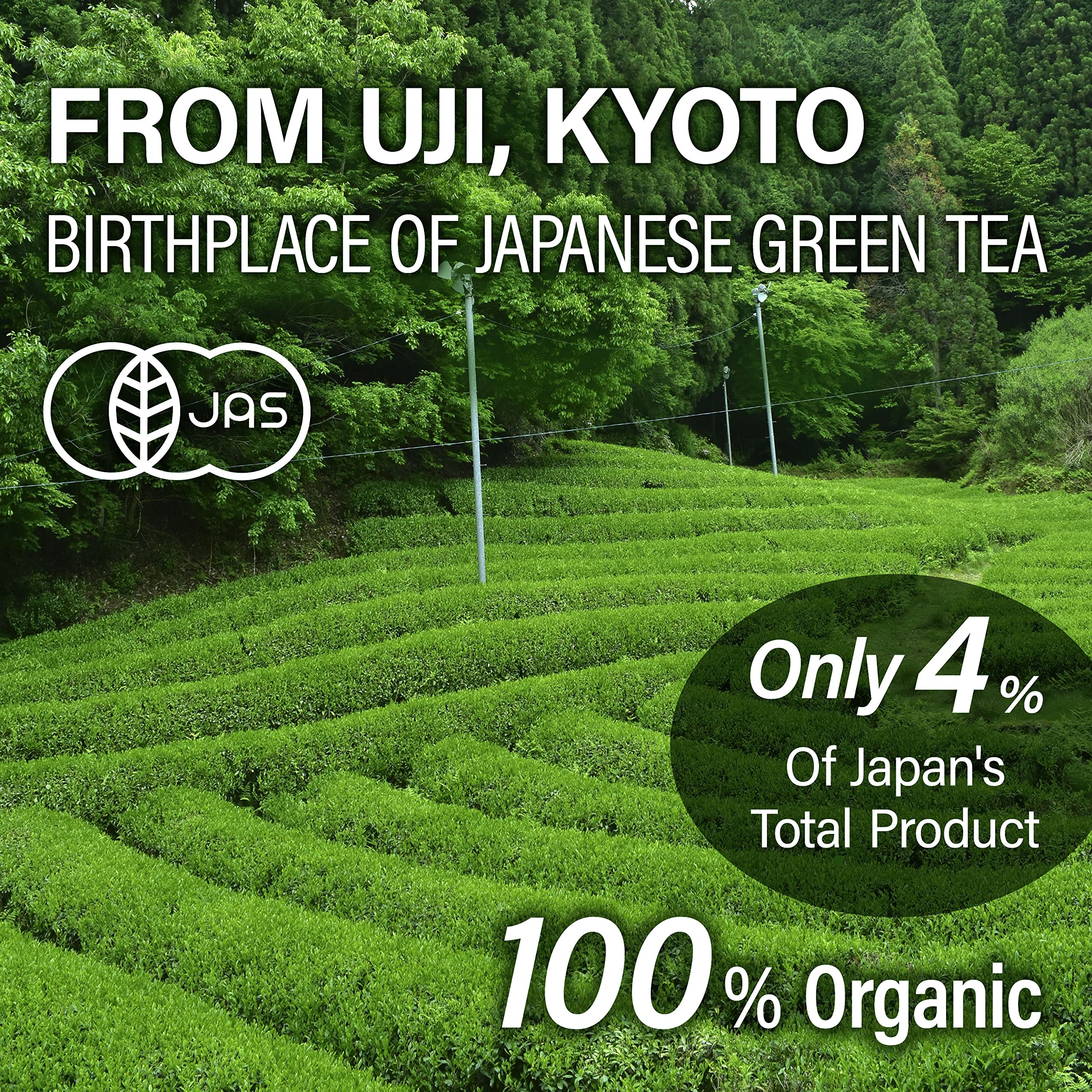 YAMASAN KYOTO UJI brewing in glass teapot demonstrating color clarity