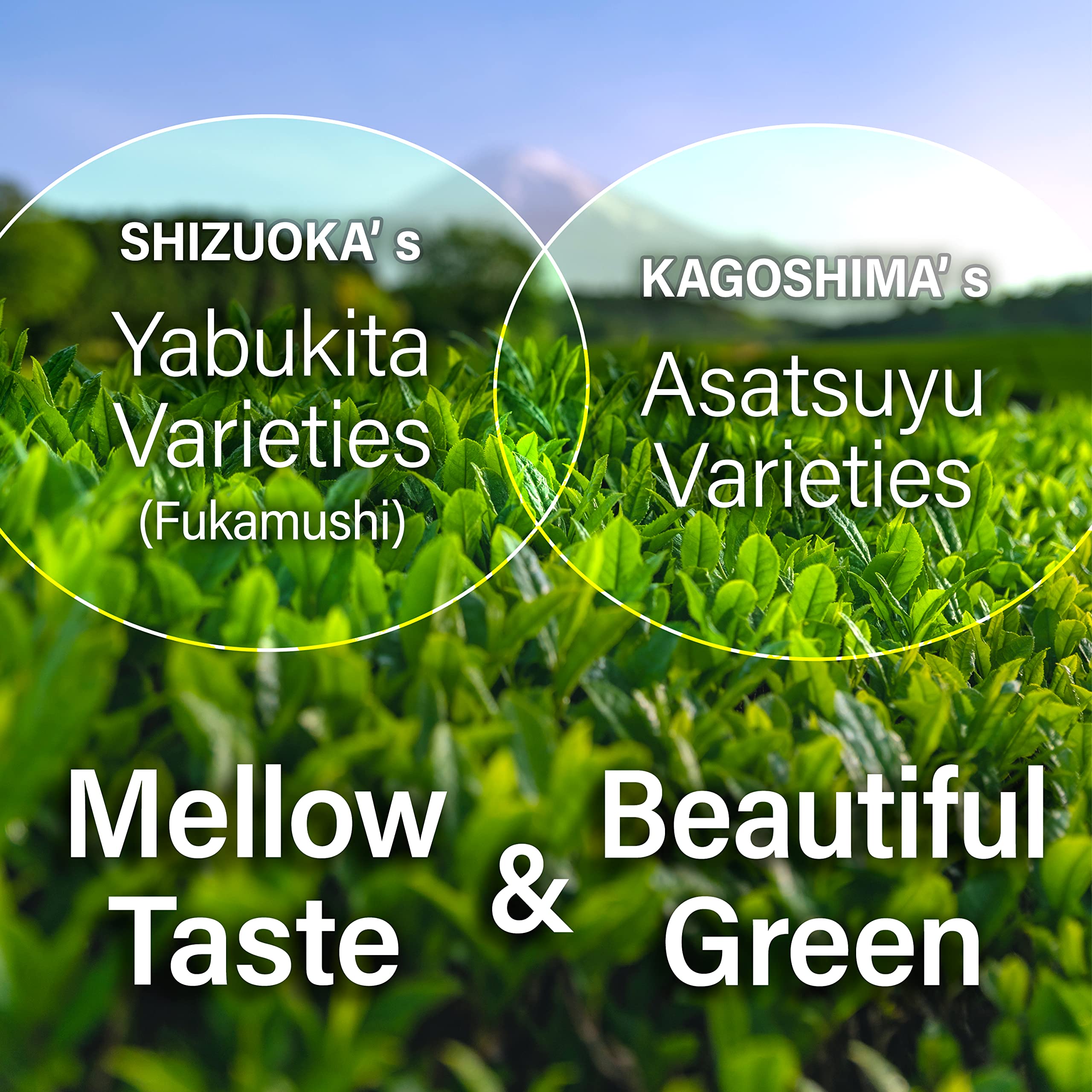 YAMASAN KYOTO UJI sakura leaves detail highlighting natural floral aroma and authenticity