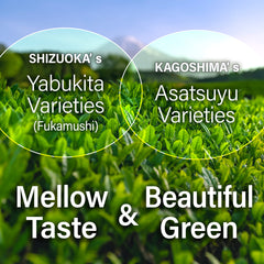 YAMASAN KYOTO UJI sakura leaves detail highlighting natural floral aroma and authenticity