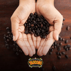Yaucono fine grind in scoop illustrating ultra-fine texture for espresso-style brewing