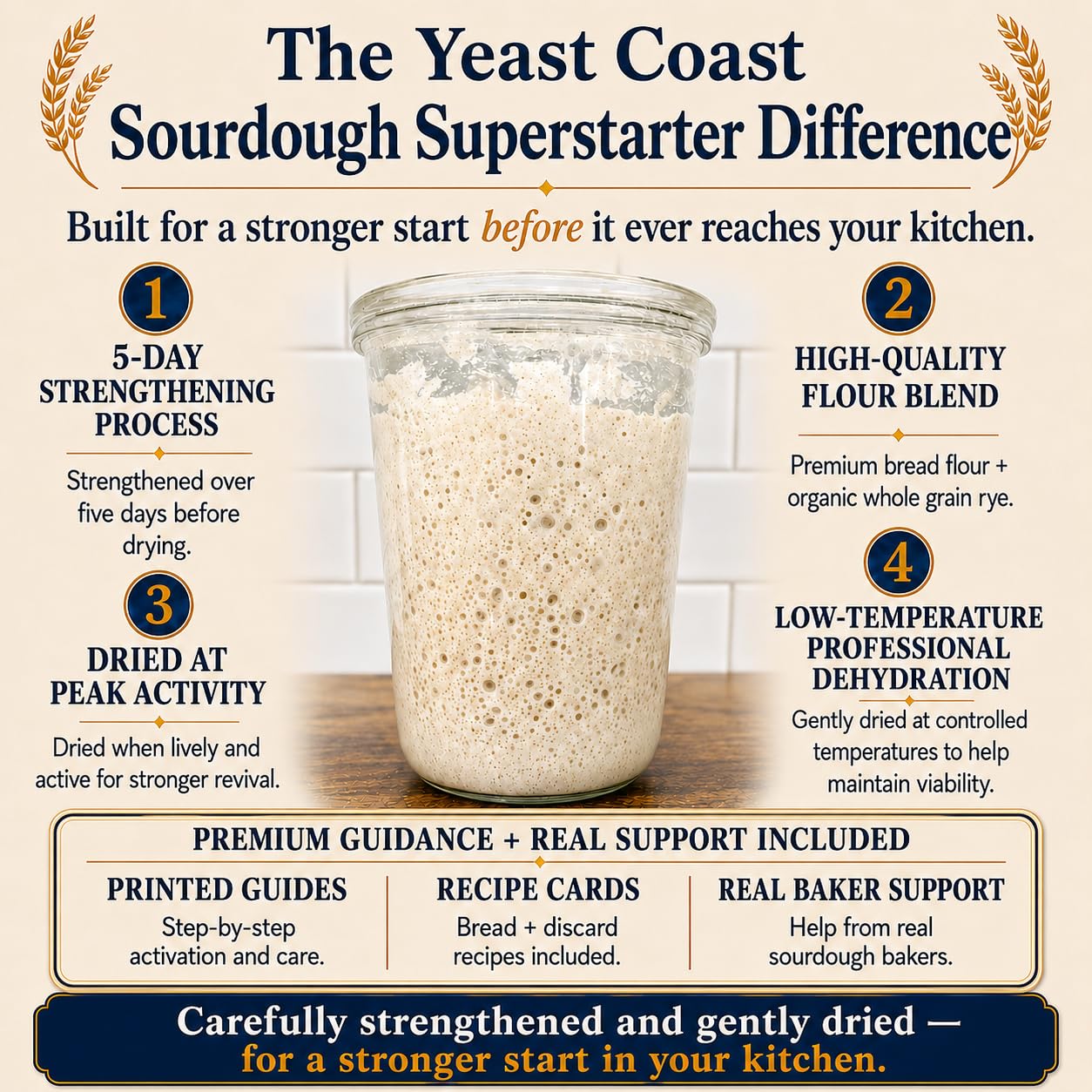 Yeast Coast Sourdough rehydration in jar demonstrating fast revival