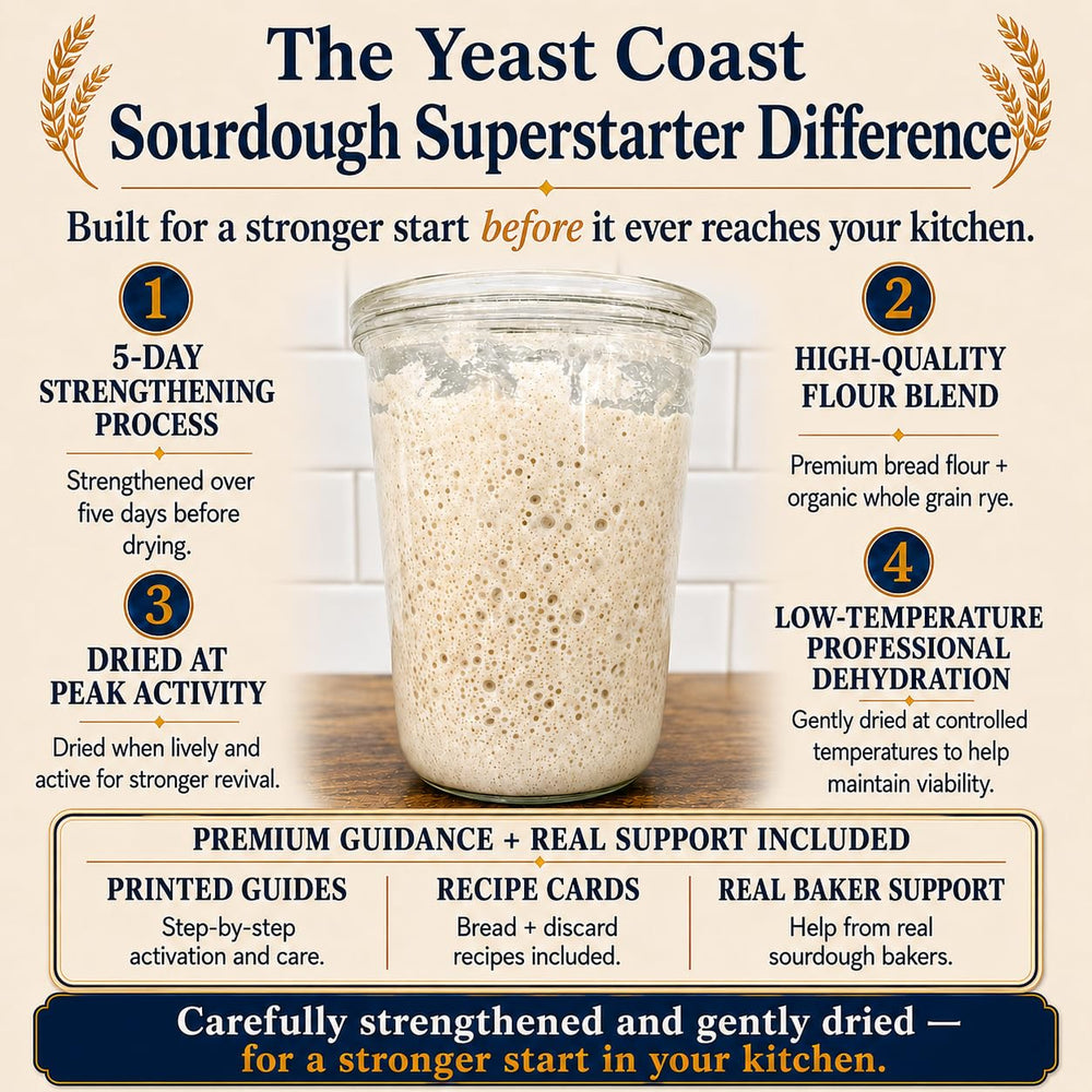 Yeast Coast Sourdough rehydration in jar demonstrating fast revival