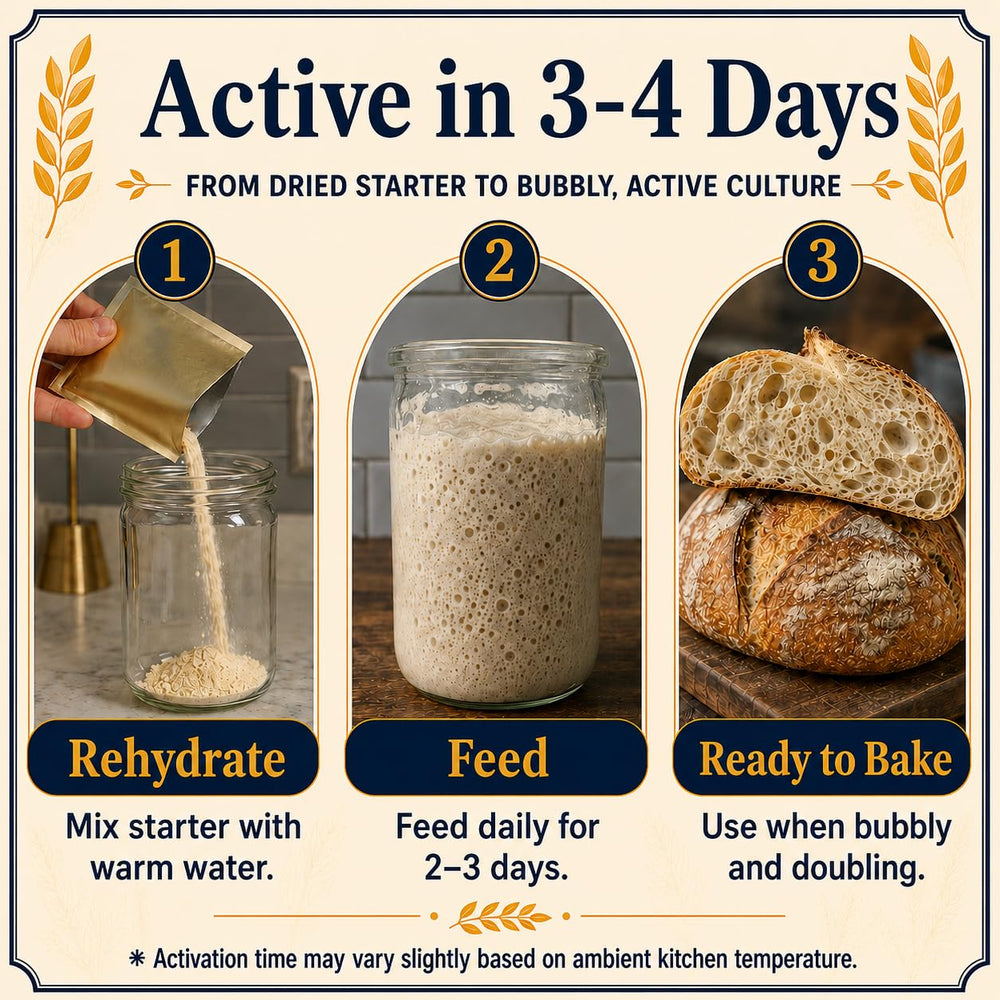 Yeast Coast Sourdough kit contents laid out to simplify activation